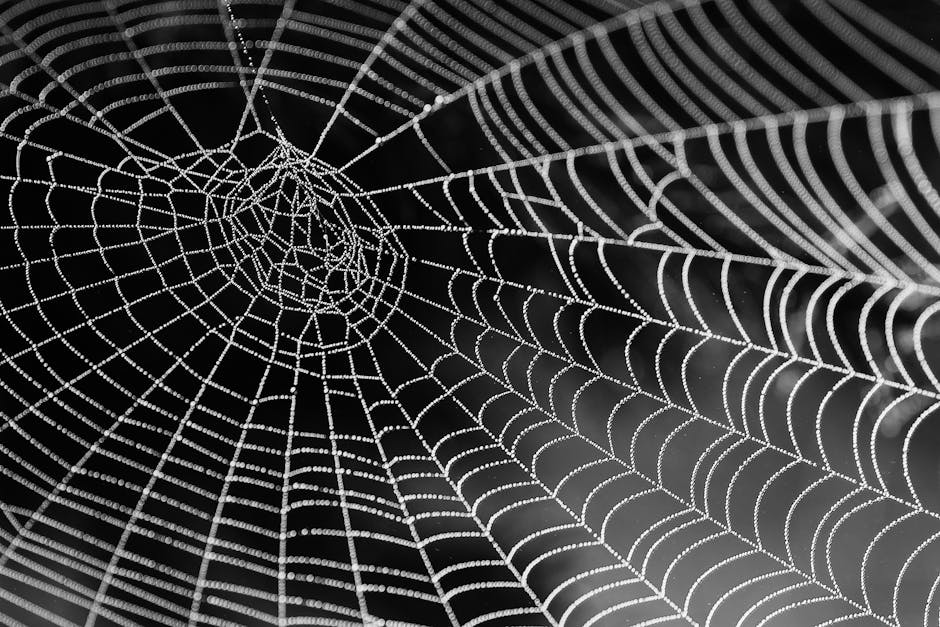 Affordable Pest Control Services in Fort Worth, Texas
