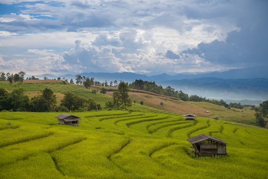 The Complete Guide to Holistic Healing in Chiang Mai: Finding Your Path to Wellness